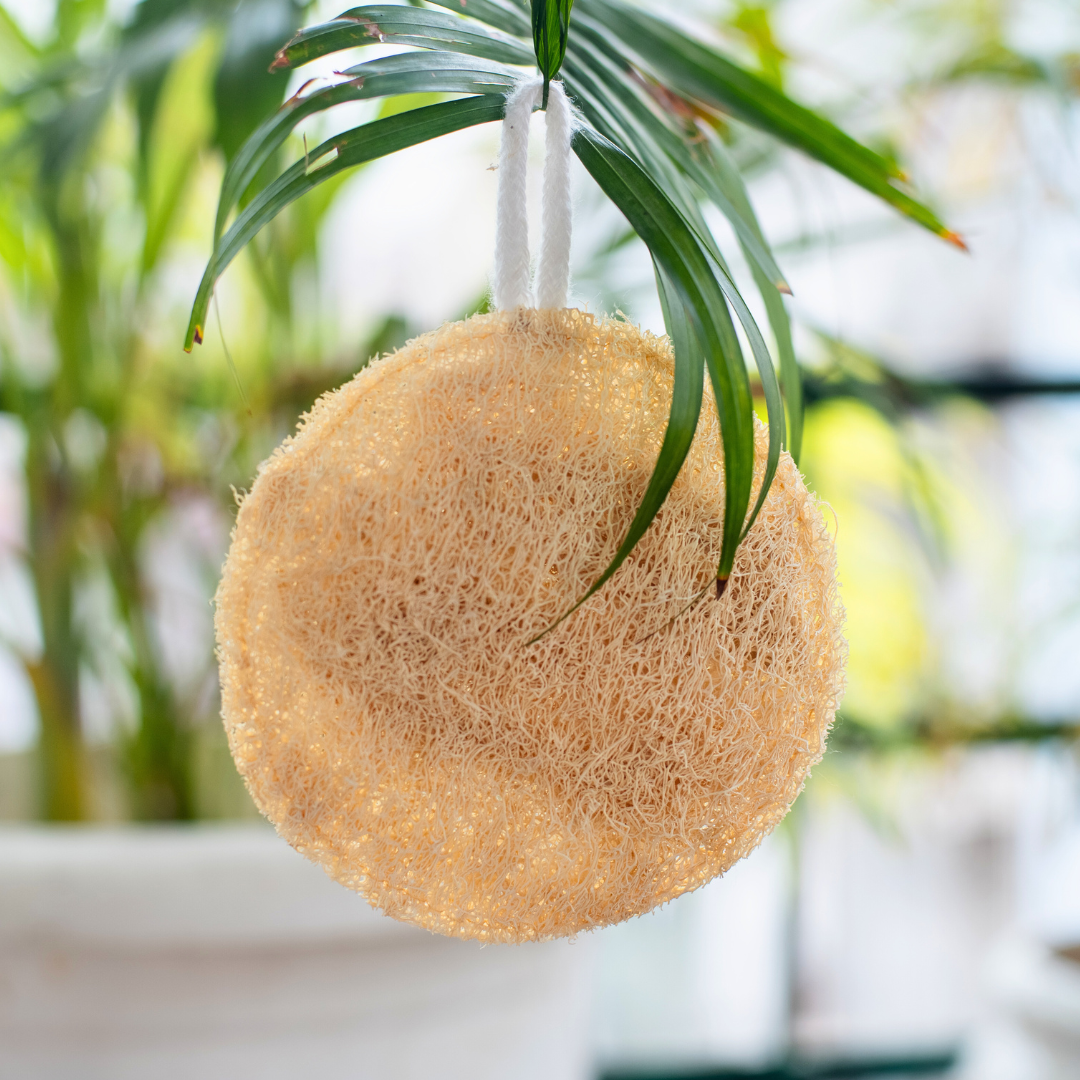 EcoFreaky Natural Loofah Scrubber – 100% Plant-Based Body Exfoliator | Biodegradable Bath Sponge (Heart, Round, Oval, Square, Rectangle)