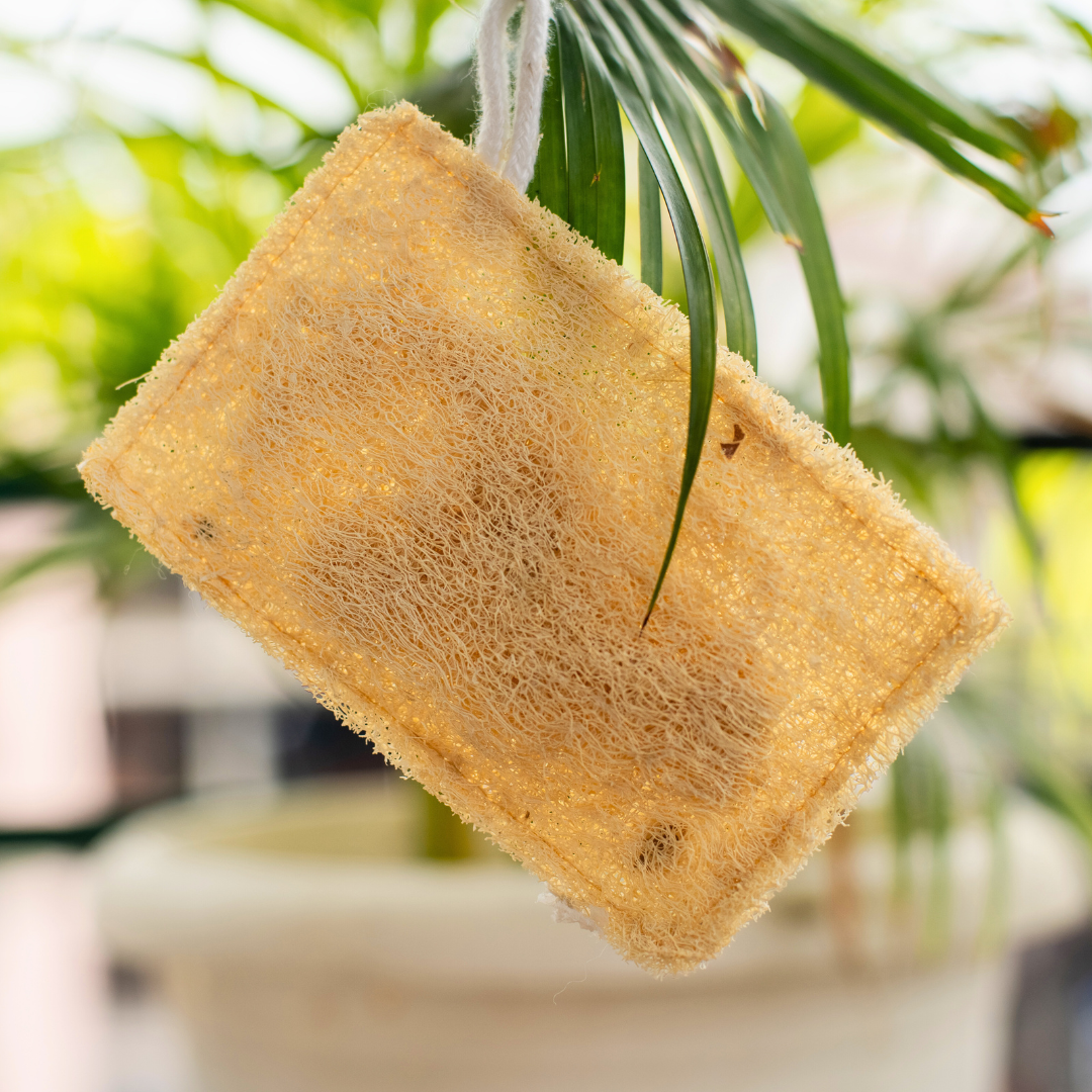 EcoFreaky Natural Loofah Scrubber – 100% Plant-Based Body Exfoliator | Biodegradable Bath Sponge (Heart, Round, Oval, Square, Rectangle)