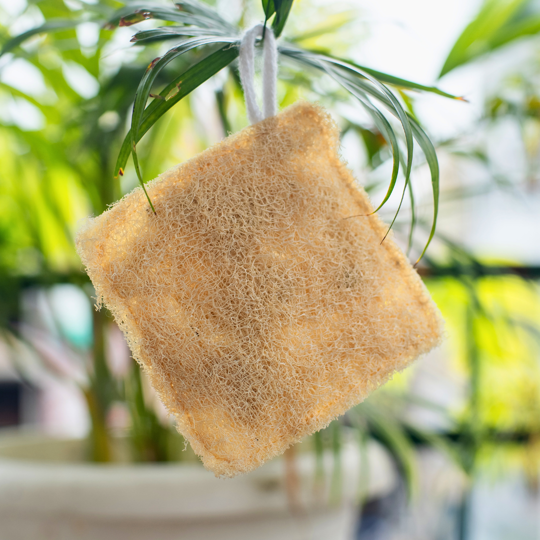 EcoFreaky Natural Loofah Scrubber – 100% Plant-Based Body Exfoliator | Biodegradable Bath Sponge (Heart, Round, Oval, Square, Rectangle)