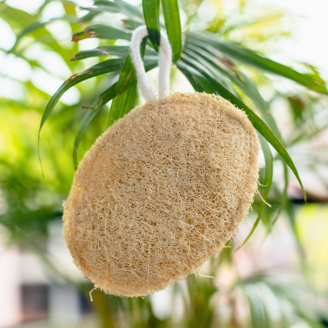 EcoFreaky Natural Loofah Scrubber – 100% Plant-Based Body Exfoliator | Biodegradable Bath Sponge (Heart, Round, Oval, Square, Rectangle)