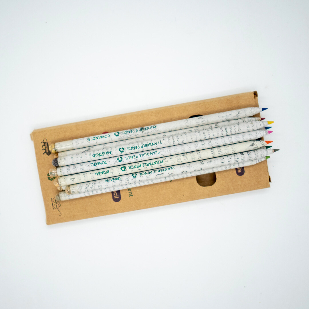 EcoFreaky Recycled Newspaper Colour Pencils | Pack of 10