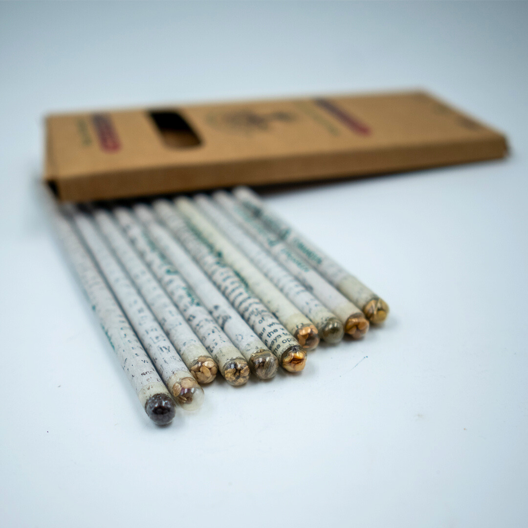 EcoFreaky Recycled Newspaper Colour Pencils | Pack of 10