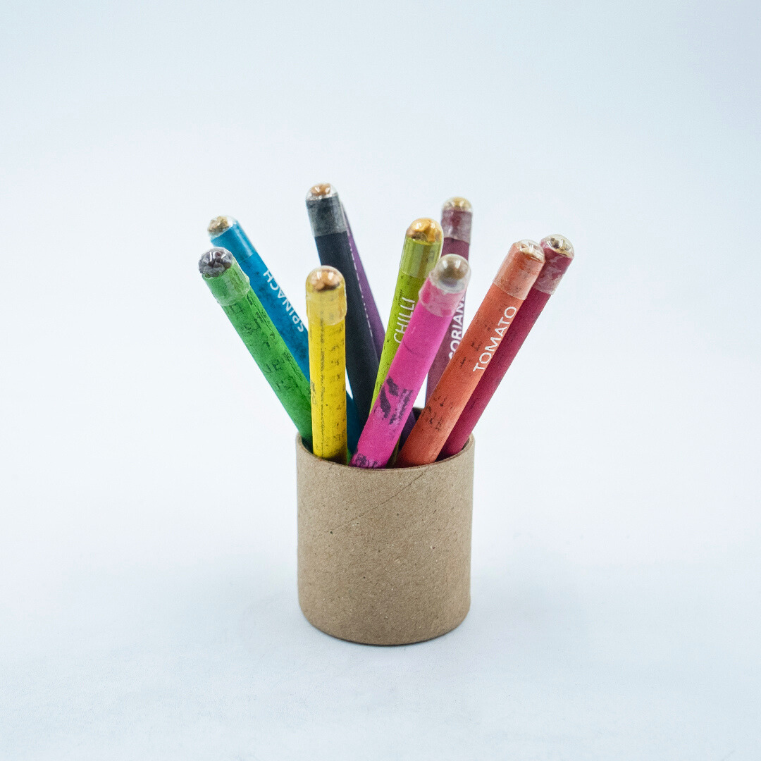 EcoFreaky Plantable Colouring Pencils | 10 Colours | Seed Pencils Tube