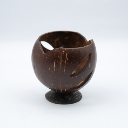 Eco-Friendly Handmade Pen Coconut Shell Wooden Holder