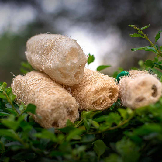 EcoFreaky Natural Loofah - EcoFreaky