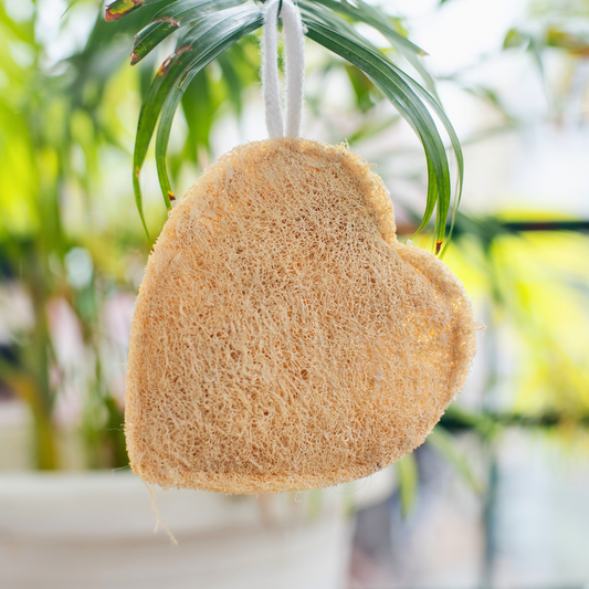 EcoFreaky Natural Loofah Scrubber – 100% Plant-Based Body Exfoliator | Biodegradable Bath Sponge (Heart, Round, Oval, Square, Rectangle)