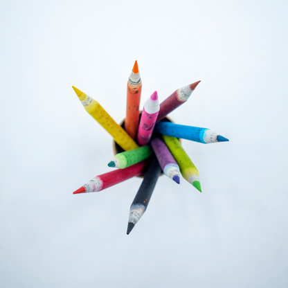 EcoFreaky Plantable Colouring Pencils | 10 Colours | Seed Pencils Tube