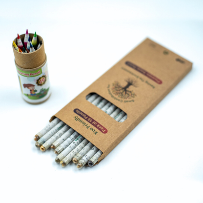 Eco-Friendly Coloring Pencil Set | Seed & Recycled Newspaper Pencils | Non-Toxic & Safe for Kids