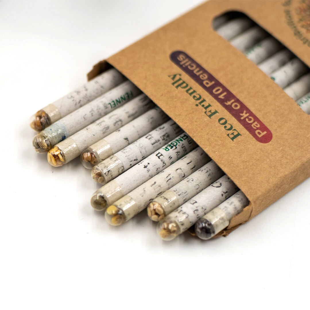 Eco-Friendly Coloring Pencil Set | Seed & Recycled Newspaper Pencils | Non-Toxic & Safe for Kids